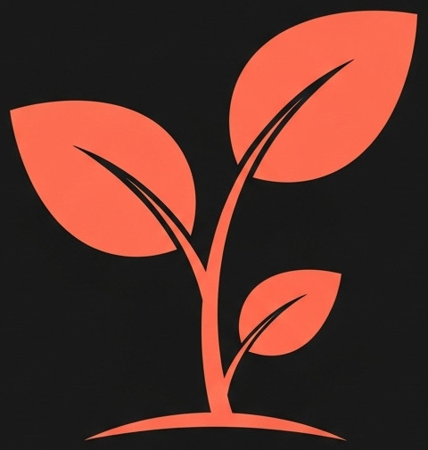 Learn Chinese Student Plan